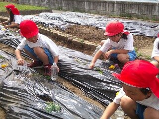 DSCF0059.jpg