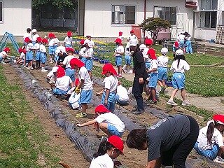 DSCF0071.jpg