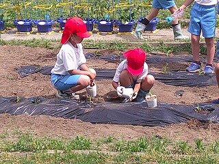 DSCF0075.jpg