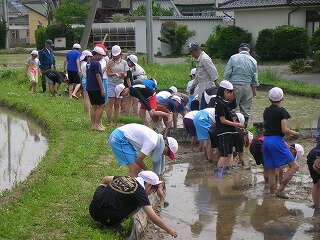 DSCN3096.jpg