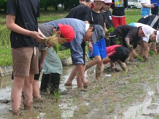 DSCN3098.jpg