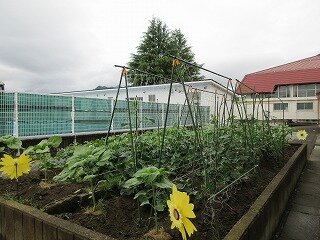 IMG_0020.jpg