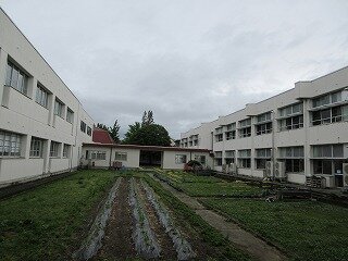 IMG_0021.jpg