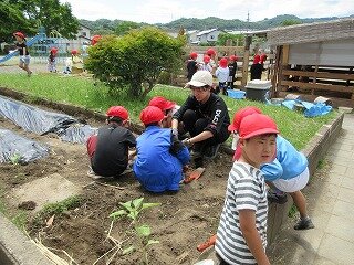 IMG_0065.jpg