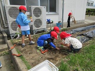 IMG_0066.jpg