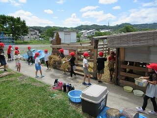 IMG_0067.jpg