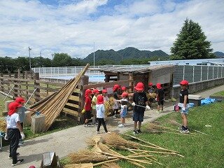 IMG_0068.jpg