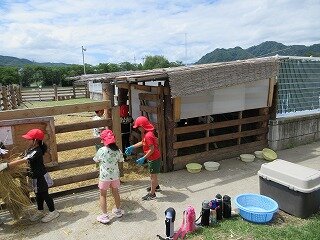 IMG_0069.jpg