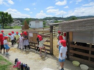 IMG_0070.jpg