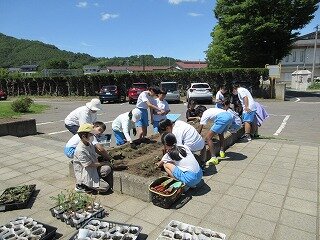 IMG_0087.jpg
