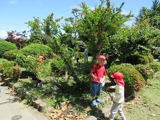 IMG_0089.jpg