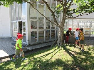 IMG_0090.jpg