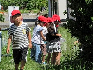IMG_0094.jpg