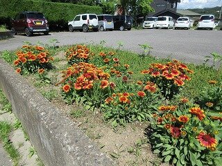 IMG_0097.jpg