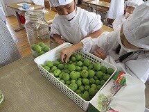 IMG_0123.jpg