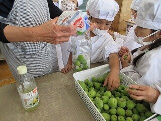 IMG_0125.jpg