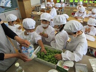 IMG_0126.jpg