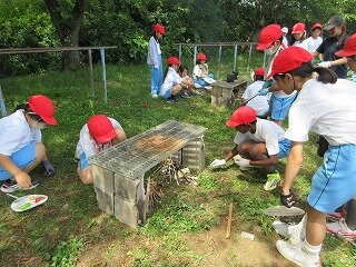 IMG_0165.jpg