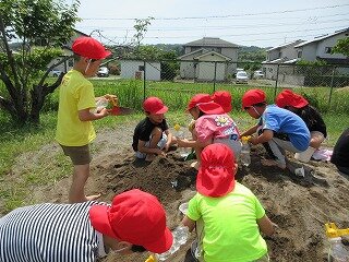 IMG_0175.jpg