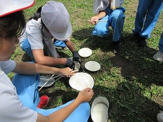 IMG_0177.jpg