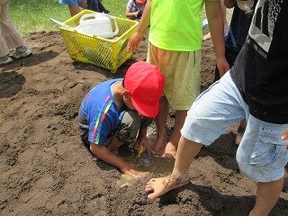 IMG_0190.jpg