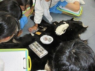 IMG_0199.jpg