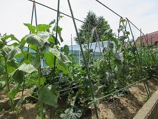 IMG_0282.jpg