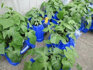 IMG_0305.jpg
