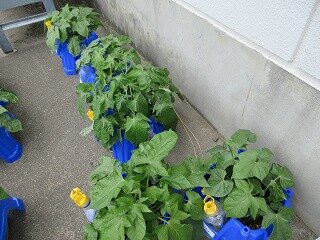 IMG_0308.jpg
