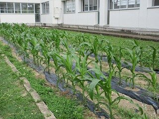 IMG_0311.jpg