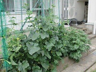 IMG_0313.jpg