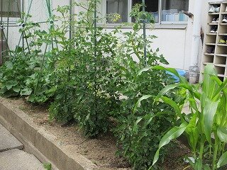 IMG_0314.jpg