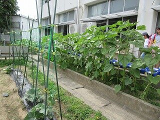 IMG_0315.jpg