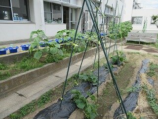 IMG_0316.jpg