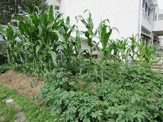 IMG_0317.jpg