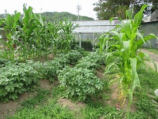 IMG_0318.jpg