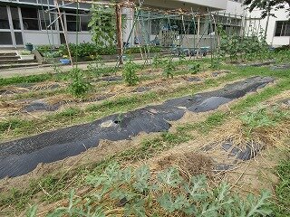 IMG_0319.jpg