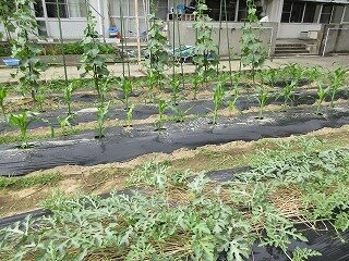 IMG_0320.jpg