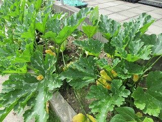 IMG_0324.jpg
