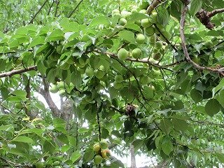 IMG_0326.jpg