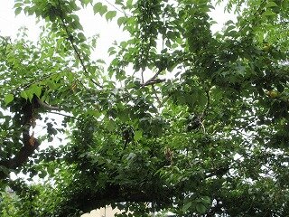 IMG_0327.jpg