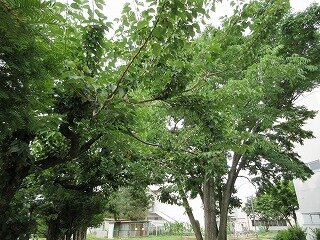 IMG_0328.jpg