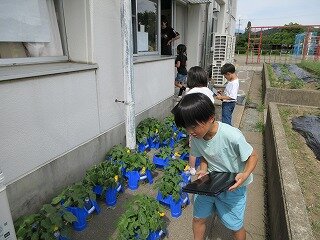 IMG_0367.jpg