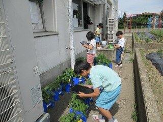 IMG_0368.jpg