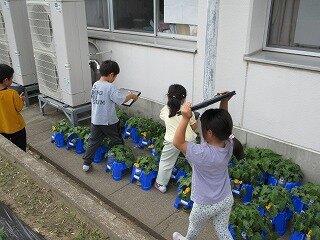 IMG_0370.jpg