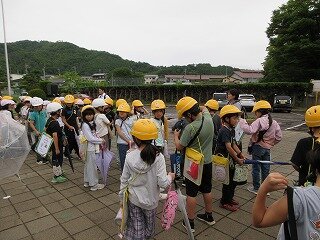 IMG_0374.jpg
