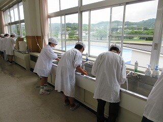 IMG_0382.jpg