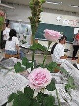 IMG_0483.jpg