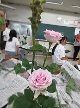 IMG_0484.jpg