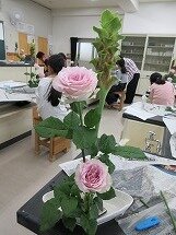 IMG_0485.jpg